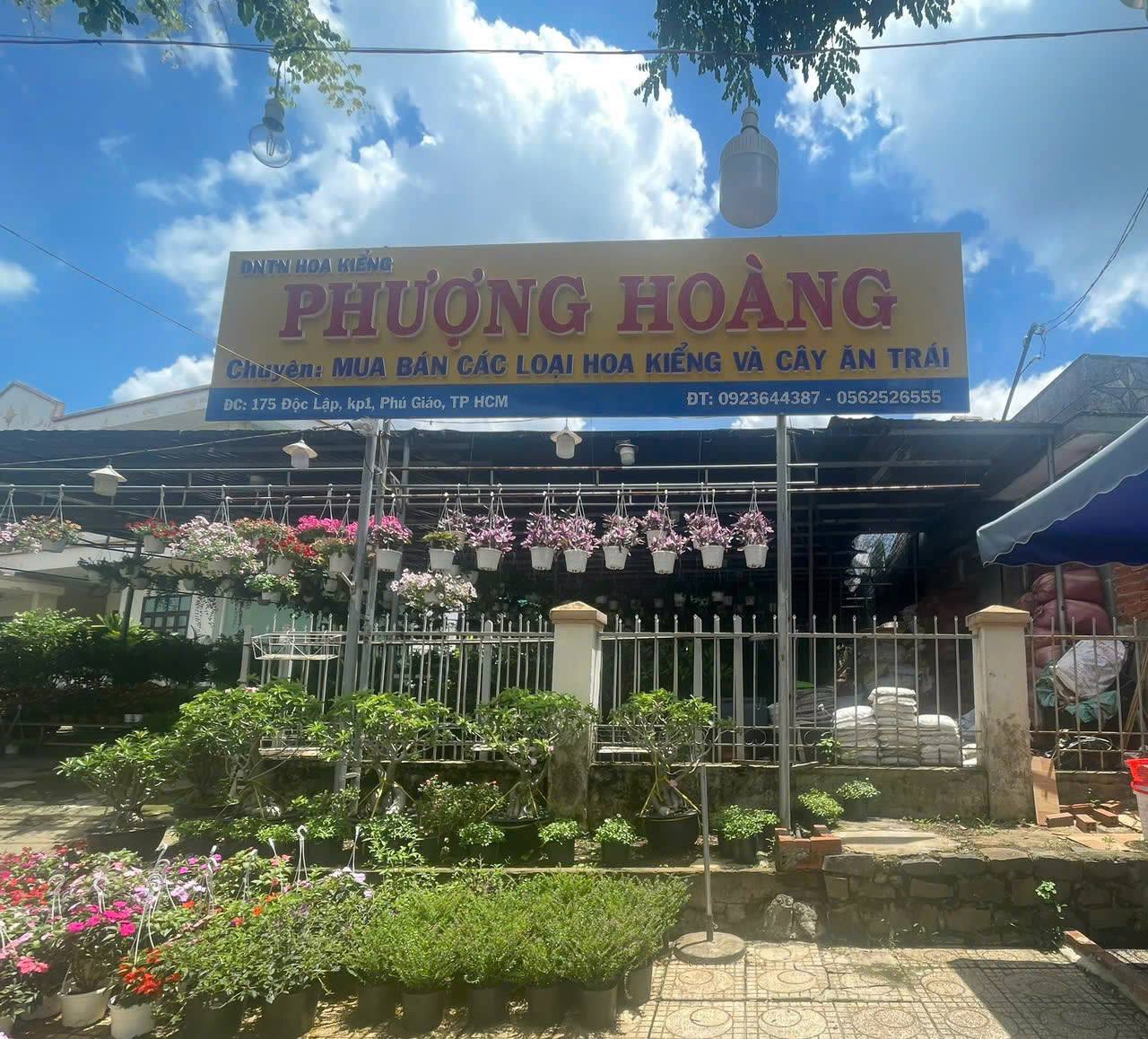 Không gian xanh tại Phượng Hoàng Garden